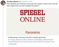 SPIEGEL: Holocaust aus dem Lehrplan gestrichen