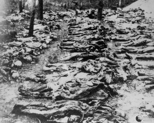 Das Schwarzweißfoto zeigt in drei Reihen ausgelegte Opfer des Massakers von Katyn.